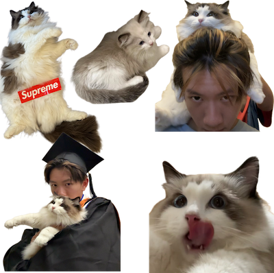 这是图片